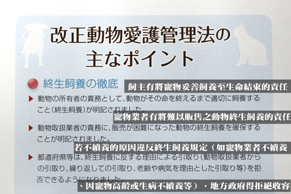 日本2012年修改《動物愛護管理法》,將飼主及寵物業者的終身飼養責任列入法規中,若違反規定收容所有權拒絕收容! 翻攝後製自環境省動愛法管理手冊