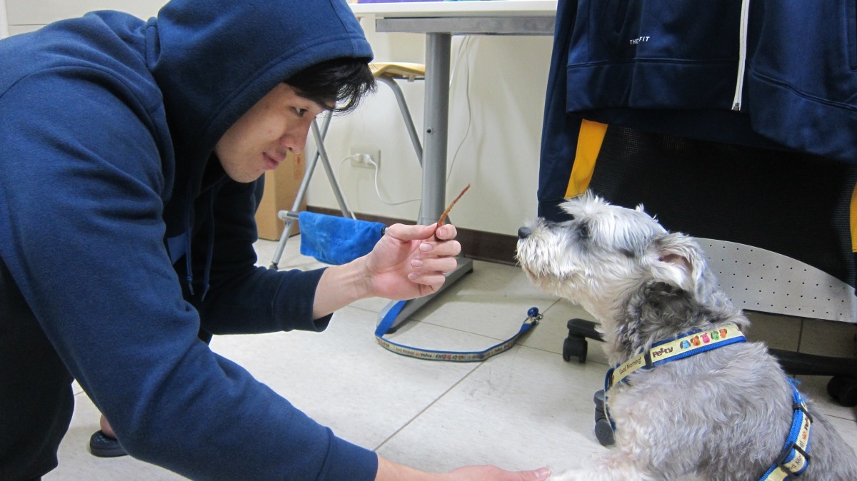 「來～教你握手！以後粉絲見面會就要使出這招！(設計對白)」隊員宋宇軒自己幾個月前也撿到流浪的黑貴賓，本身也相當愛狗。