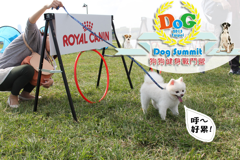 狗狗體態有多重要?飼主這周六來一趟綠寶石寵物公園,參加狗狗健身戰鬥營告訴你。 何宜/攝、Logo取自狗狗健身戰鬥營網站