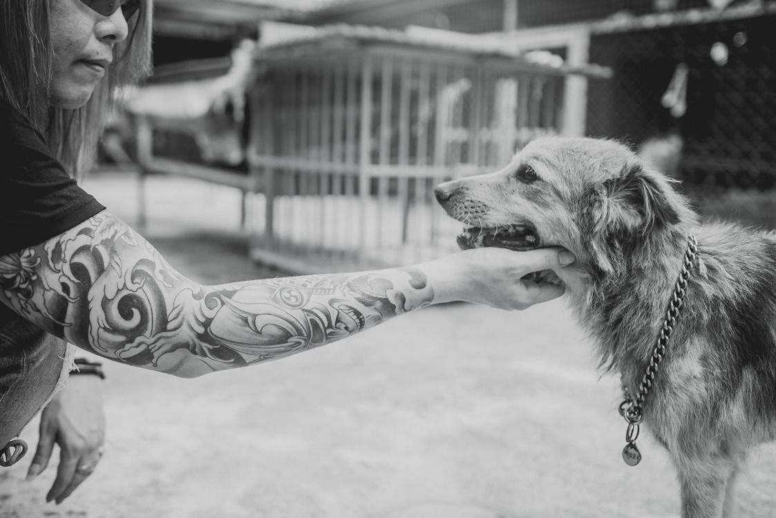 毛孩子不需要開口，牠們用身體、眼神、反應教導我們有關於生命的一切知識，而我們要做的就是仔細聆聽。　《犬魂：1500個生命救援的日子，只為改變浪孩的一輩子》三采文化/提供