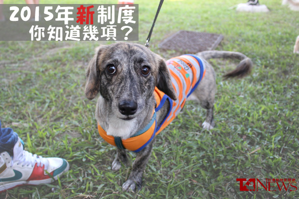 2015與寵物相關的新年新政，你知道哪些？　何宜/攝