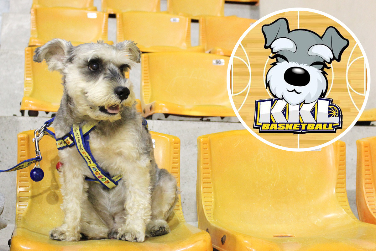 高粱替自己找到了「一群」長期飯票，還有自己的專屬的吉祥物Logo，是不是很像呢？　何宜/攝