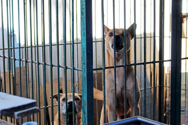 示意圖（何宜/攝）