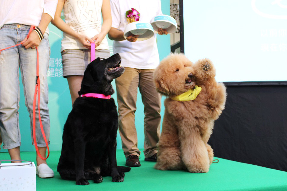 台灣寵物飼糧品牌「唯寵」推出全台第一個「客製化」寵糧，提出「最適合的，才是最好」的概念。　何宜/攝