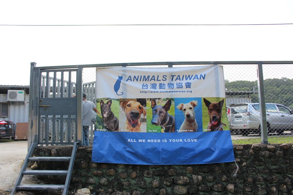 原本位在北投的台灣動物協會，目前搬遷到林口，新的救援中心也在日前開放囉！　何宜/攝