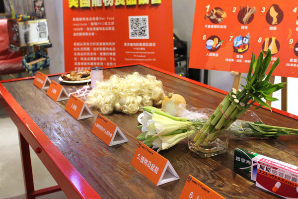 十大寵物誤食排行榜。 何宜/攝