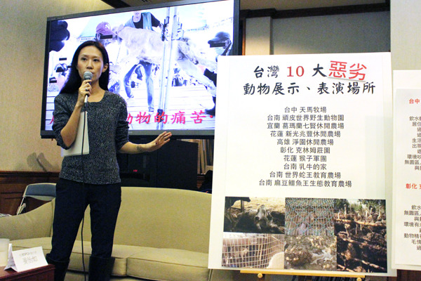 TSPCA執行長姜怡如表示未來對於動物虐待案件更有法源可以開罰。 江幸芸/攝