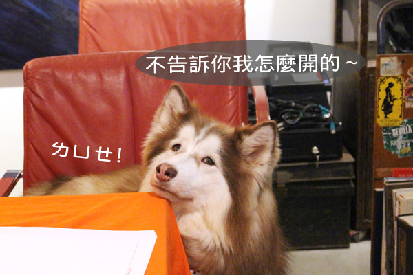 張美琪曾偷吃過裝在安全扣罐子內的B群，結果一整晚亢奮到一直走來走去。　何宜/攝