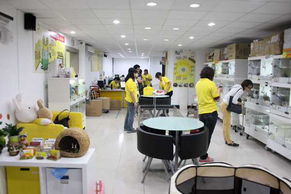 空間寬敞整潔明亮的愛兔之家，顛覆民眾對收容所刻板印象。　何宜/攝