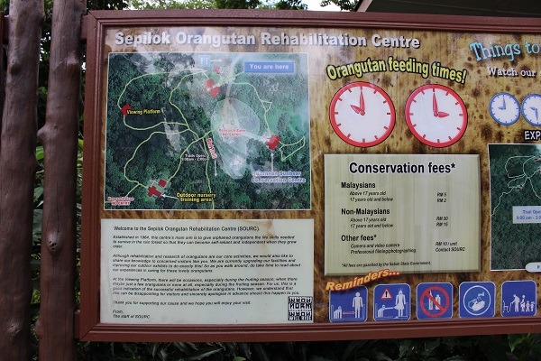 紅毛猩猩每日固定於早上10點及下午3點餵食，園內步道圖為照片左方，非馬來西亞人的旅客入場門票成人為30馬幣(約台幣240元)，拍攝照片則要再另外付10馬幣(約台幣82元)。　何宜/攝