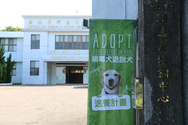 中華民國保護動物協會今日在台中緝毒犬訓練中心舉辦送養見面會。 何宜/攝