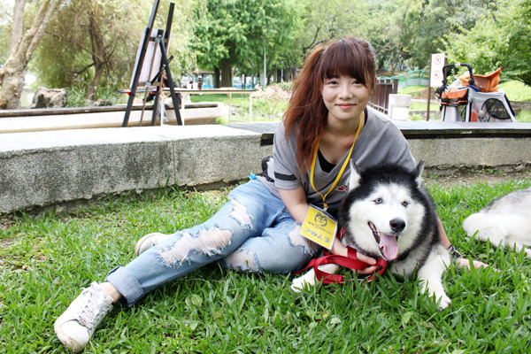 飼主Coral七年前在因緣際會下領養了哈士奇大樂,不但改變了大樂悲慘的狗生,也被懂事的大樂改變了自己的人生! 何宜/攝