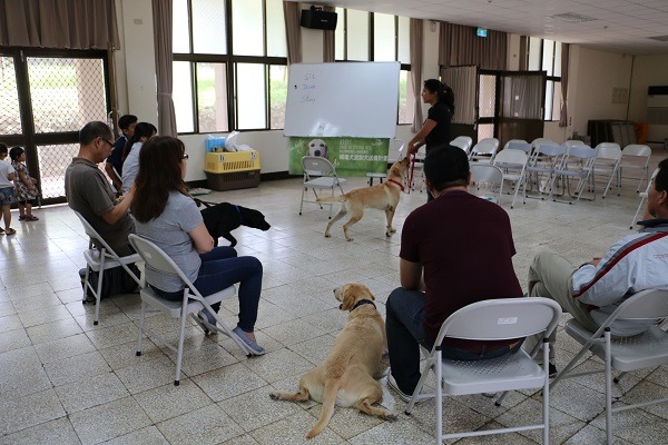 Mojito向所有領養人教導狗兒居家訓練方式。 何宜/攝