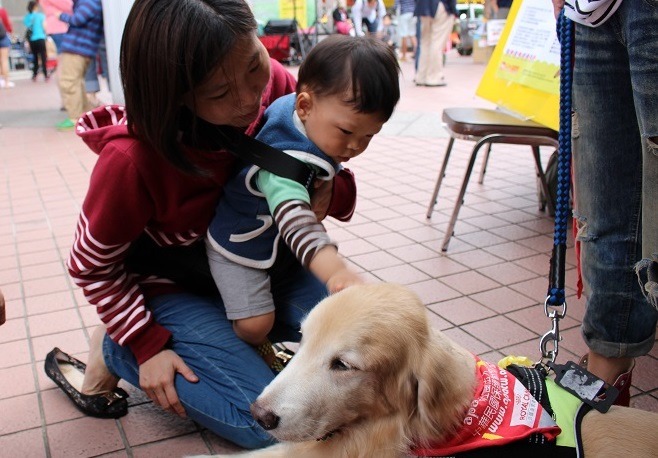 人類對小孩的情感依賴，與對寵物的情感呈現正向相關，較依賴小孩的家長，往往也能提供寵物更好的照顧。　何宜/攝
