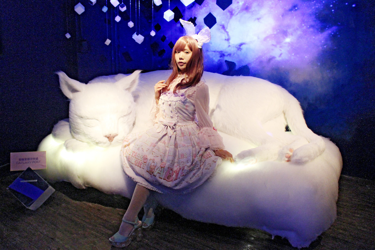 貓蘿紀元年：CATLAXY 貓的小宇宙攝影展，跨領域結合文創、動保、蘿莉塔、時尚等等，迸出新滋味。　何宜/攝
