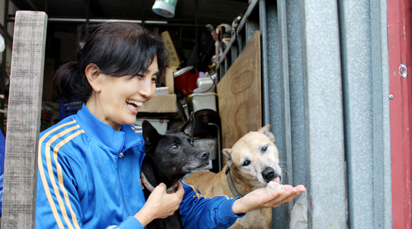 鄭文春阿姨是「看得見春天八里狗園」的負責人，從日商上班族到照顧140幾隻流浪狗的愛媽，且聽她說自己的故事。　何宜/攝