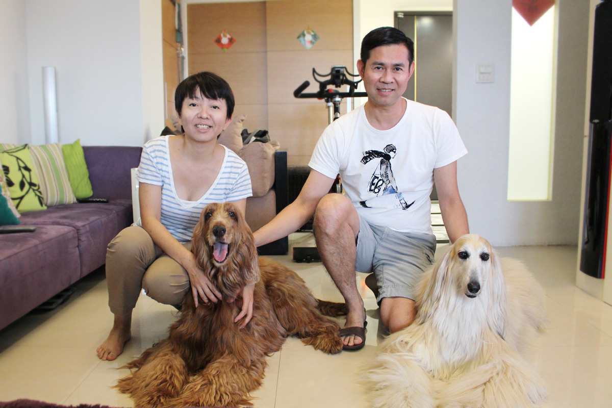 阿富汗犬馬妞(右)和愛爾蘭雪達犬馬克(左)曾經都是被棄養的流浪犬,在遇到疼愛他們的飼主後,變成亮麗、自信的模樣! 何宜/攝