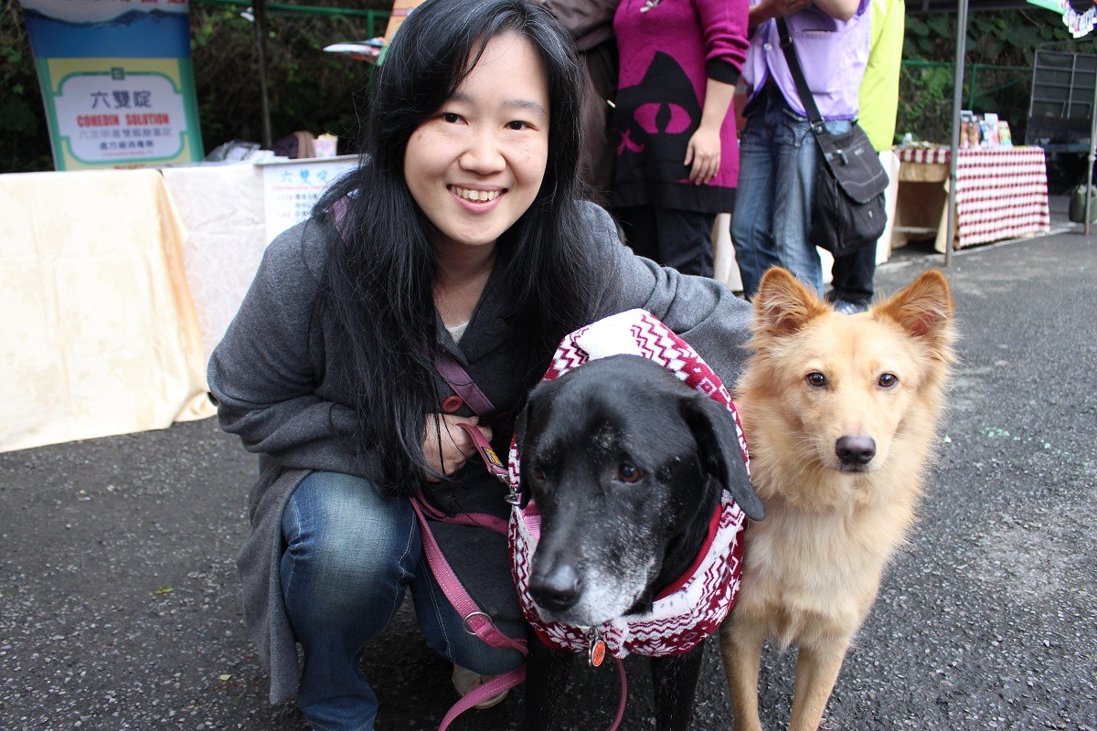 台北動物之家清空收容所活動將會同步在外面設攤位，一路到晚上8點都能認養，歡迎民眾一起參加！圖為去年年底舉辦領養毛小孩娘家拍攝。　資料照（李娉婷/攝）