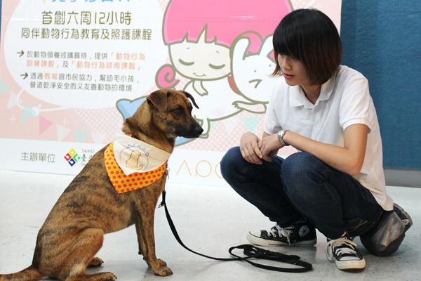 台北市開設犬貓學校課程花費龐大，市議員建議應可採網路課程方式授課。　台灣動物新聞網資料照（何宜/攝）