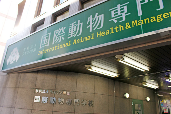 國際動物專門學校位於靠近渉谷的駨沢大學站，交通方便。　何宜/攝