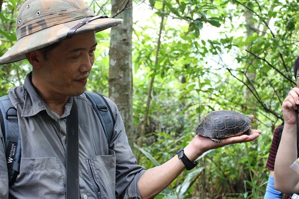 陳添喜長年投入保育類烏龜的調查研究，對於野生族群的破壞感到憂心。　資料照，何宜/攝