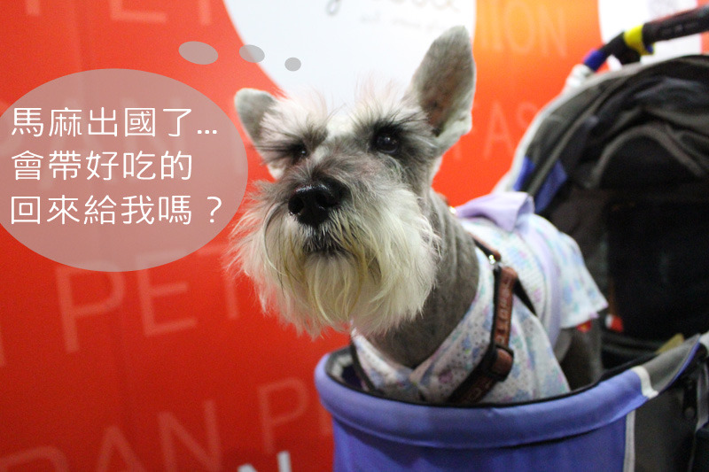 自國外購買含動物成分的犬貓食品，要先確定有輸出國的檢疫證明書、其生產工廠也要為台灣核可的，才能經由申報帶進台灣喔！此為示意圖。　何宜/攝