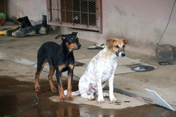 示意圖（黃慶榮/攝）