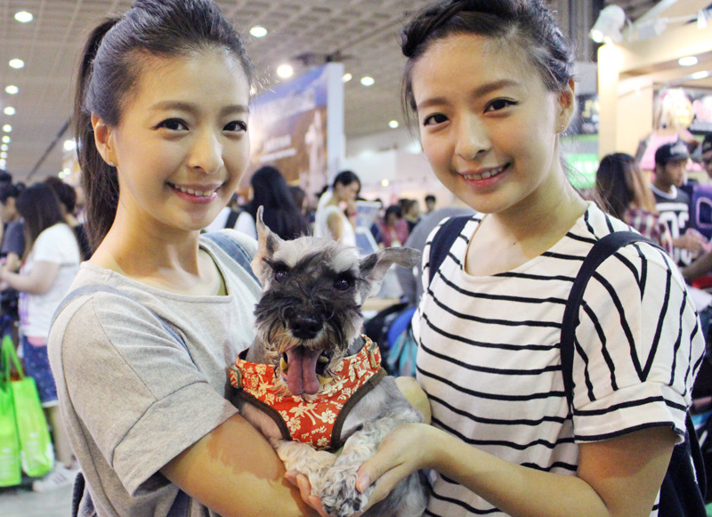 狗狗要喜歡跟飼主待在一起，在外出散步時注意力也才能放在飼主身上。　資料照（何宜/攝）