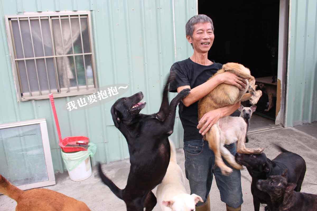 王文評和場裡的狗兒說話時就像爸爸跟小孩互動一般，看得出他對狗狗的關愛至極。　何宜/攝