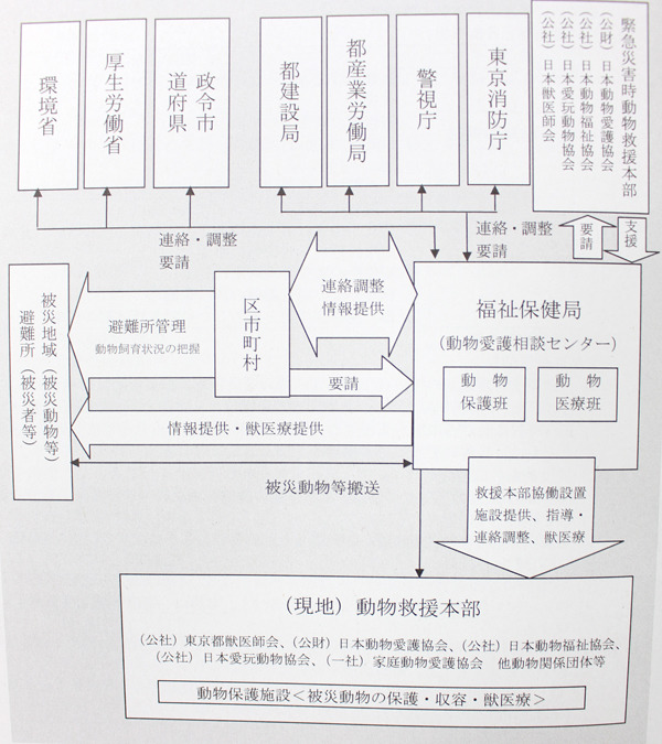 做事嚴謹仔細的日本人，災害時動物的應變聯絡管道計畫的清清楚楚。　翻攝自東京都動物愛護管理推進計畫手冊