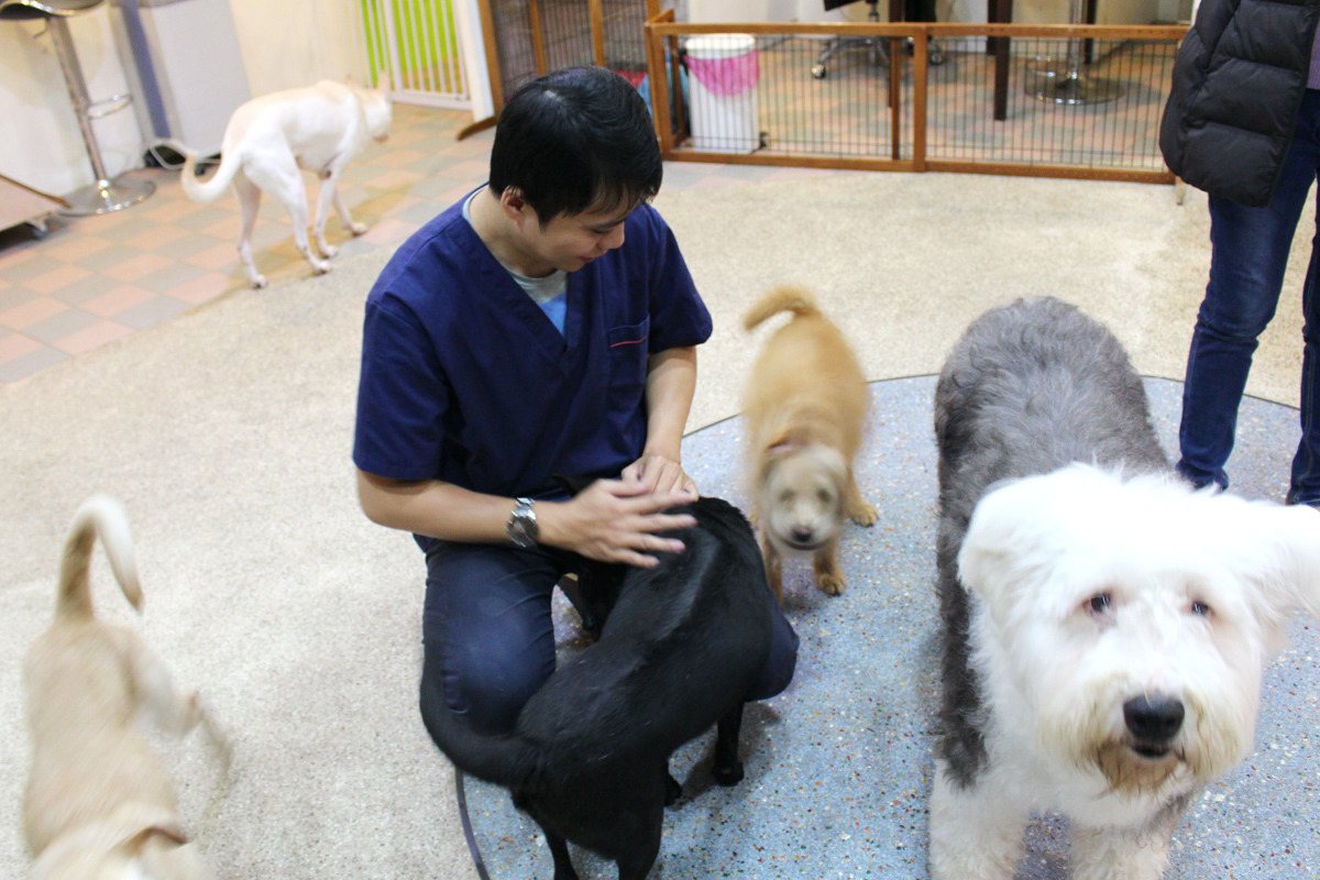 寵樂動物醫院一共有3層樓，服務項目從寵物美容、動物醫院、行為訓練安親班、寵物旅館都有。　何宜/攝