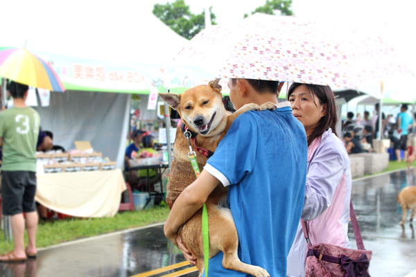 陳淵泉呼籲民眾善盡飼主責任,愛他就不要棄養他! 何宜/攝
