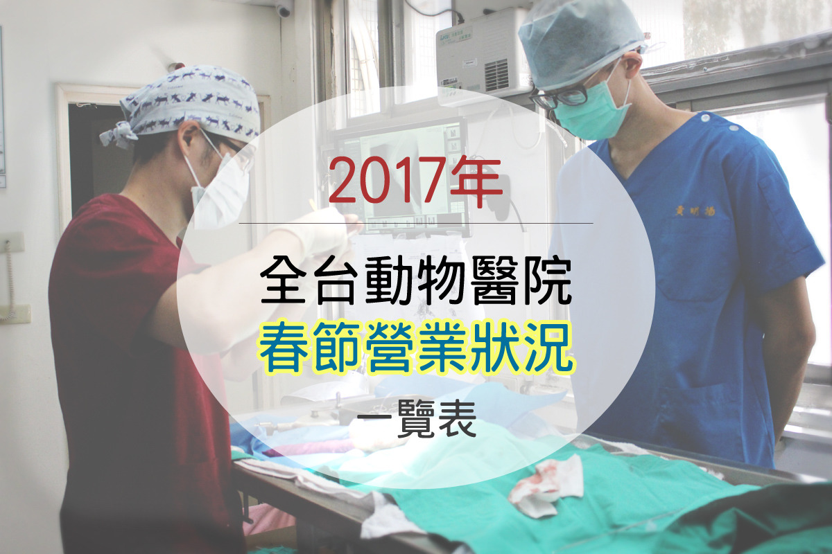 2017年春節即將開始，返鄉度過春節的期間，也要注意寵物的身體健康，並瞭解各縣市動物醫院營業狀況喔！示意圖。　資料照（李娉婷/攝）