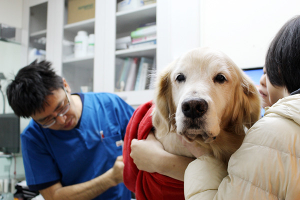 華中動物醫院院長劉懿澍叮嚀,飼主事前一定要先查好春節有營業的動物醫院,備妥口袋名單。 何宜/攝