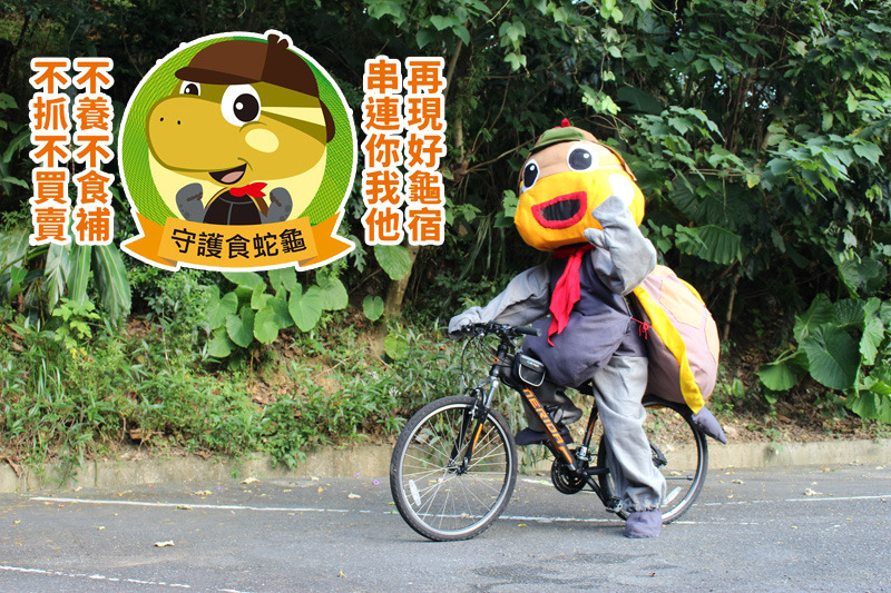 食蛇龜保育大使「阿食」在設計師筆下化身為福爾摩斯偵探龜，蘊含協助查緝盜獵、領巾則代表小童軍出任務等！　何宜/攝