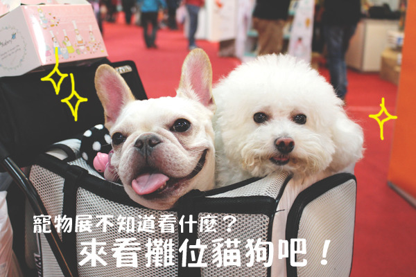 寵物展攤位貓狗，第一吸睛！指南報給你知！　何宜/攝