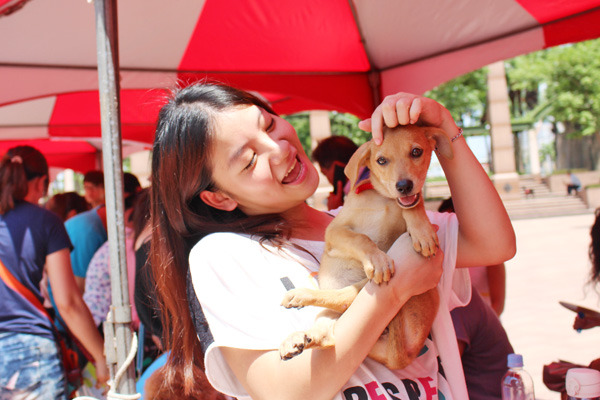 新北市動保處將在中秋節前夕，於板橋動物之家舉行首創的動物領養音樂會，快來帶新家人回家團圓吧！　黃靖雅/攝