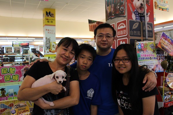 魏小姐多年前也養過馬爾濟斯，狗狗過世後，家中小孩也想再尋覓新家人。  何宜/攝