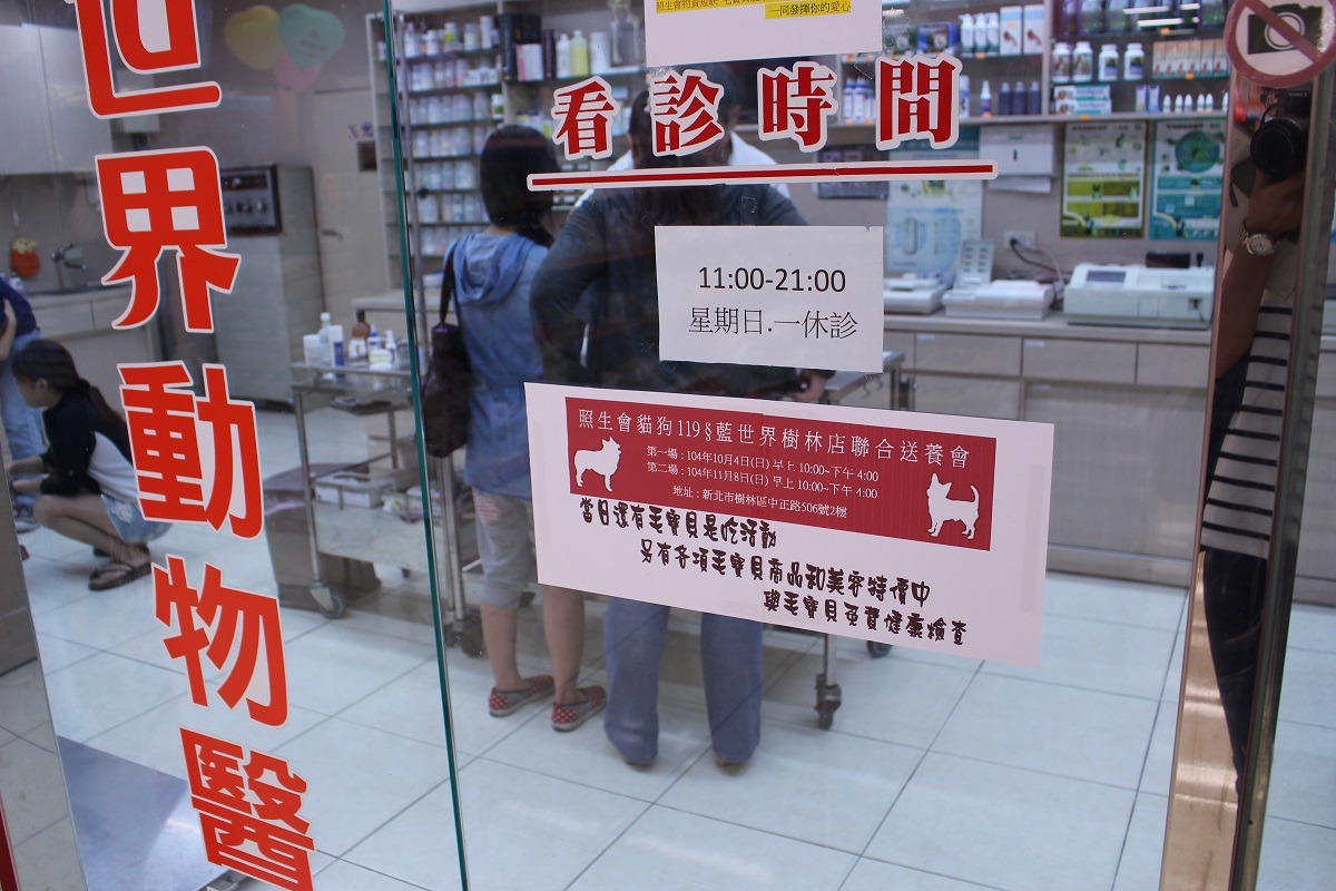集賢愛生動物醫院院長楊振墉建議，領養人在把狗狗帶回家之前應該要先帶到動物醫院做基本健康檢查。　何宜/攝