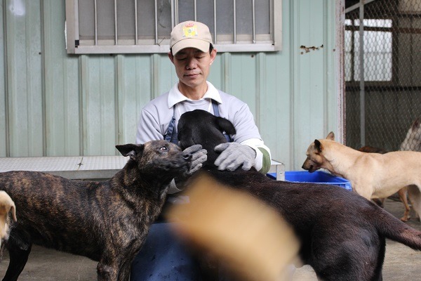 保育場的工作人員如同狗兒們的親人,有的保育員也願意在除夕這天與狗兒互相陪伴。 何宜/攝