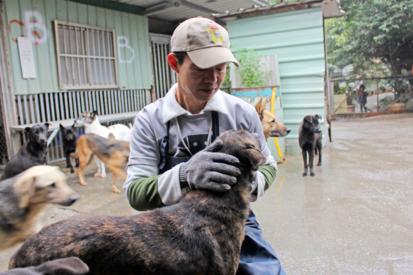 Kevin認為照顧動物一點也不辛苦,於是春節5天都自願在保育場陪伴狗狗。 何宜/攝