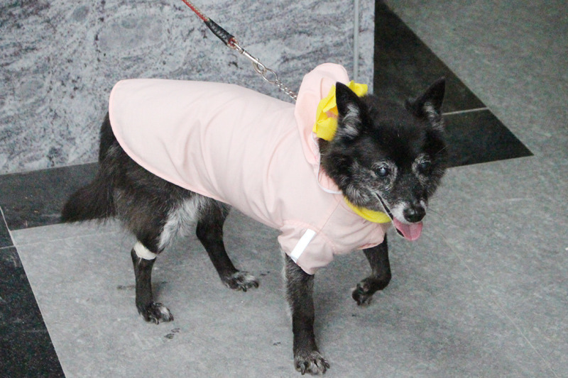 在網路上引起熱烈論戰的論點，你贊同嗎？　李娉婷/攝