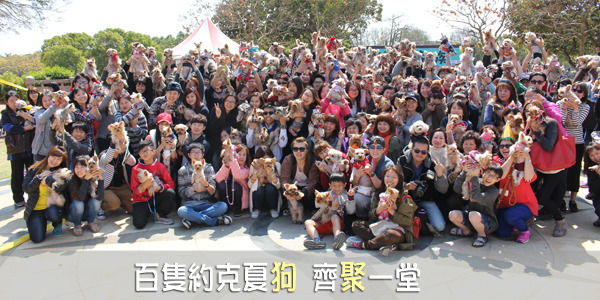 「一、二、三！高舉你的寶貝，並一起說以領養代替購買！」　何宜/攝