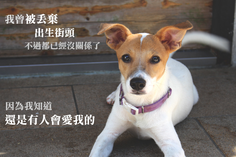 沒關係，在我們的世界裡不存在「記仇」這種東西，所以我還是會全心全意地愛你。　何宜/攝