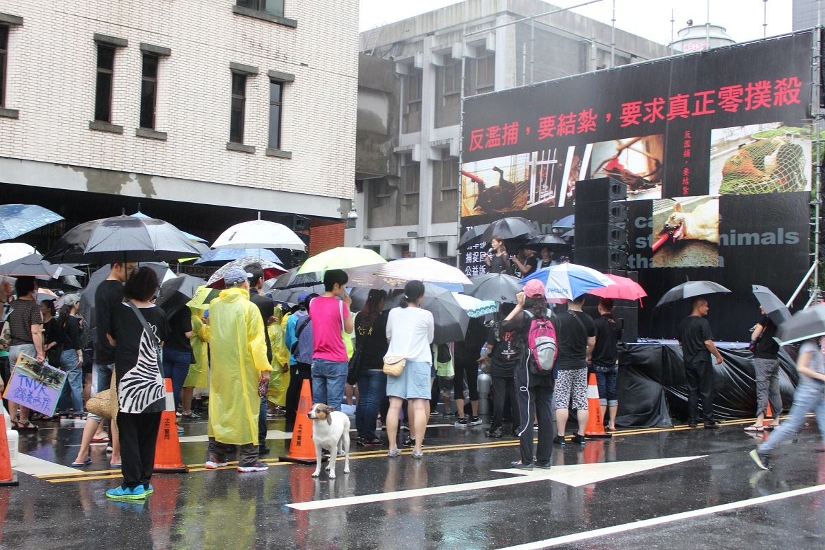 6月18日下午，一場「反濫捕，要結紮，要求真正零撲殺」抗議集會活動，雖然下著大雨但現場仍聚集相當多民眾。   台灣動物新聞網資料照（李娉婷/攝）
