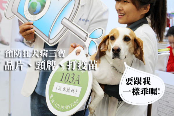 防檢局今召開記者會，呼籲飼主記得帶毛孩施打狂犬病疫苗。　何宜/攝