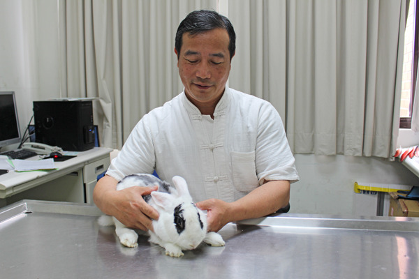 台大動物醫院新任院長季昭華專長為非犬貓、野生動物及大動物。 何宜/攝