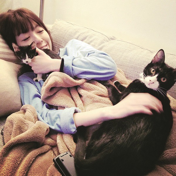 路嘉欣從生活中沒有貓，到搖身一變成為貓奴，究竟是發生什麼事？　時報文化/提供