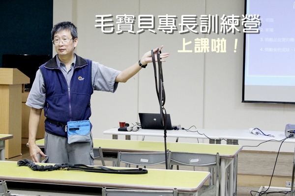 新北市動保處邀請屏科大工作犬訓練中心獸醫師祁偉廉,為動物之家同仁開班教授如何訓練狗狗基本服從。 何宜/攝