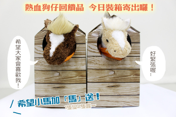 台灣動物新聞網及所屬中華民國保護動物協會推初之熱血狗仔募資活動,回饋品今日全數寄出! 何宜/攝